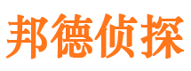 大悟市场调查